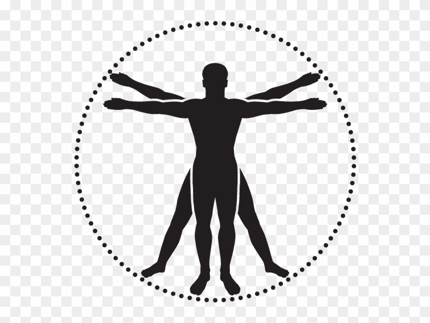 Jpg Freeuse Annual Protocol Check Up - Anatomy Icon Clipart