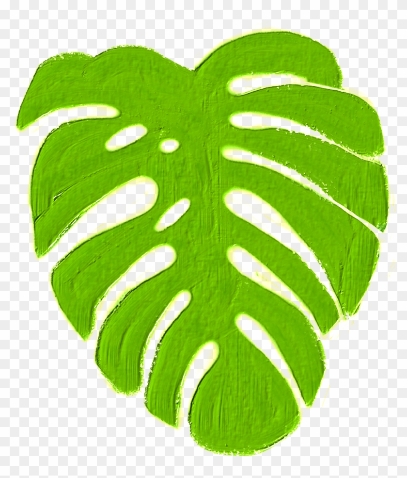 #monstera #tropics #plant #green #jungle #island #warm - Illustration Clipart