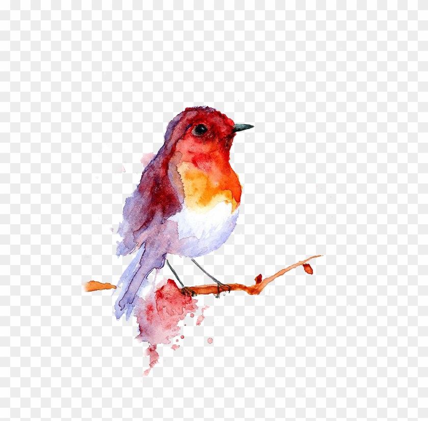 But I Didn't Have Enough Time To Get The Visual Effect - Bird T Shirts Womens Clipart