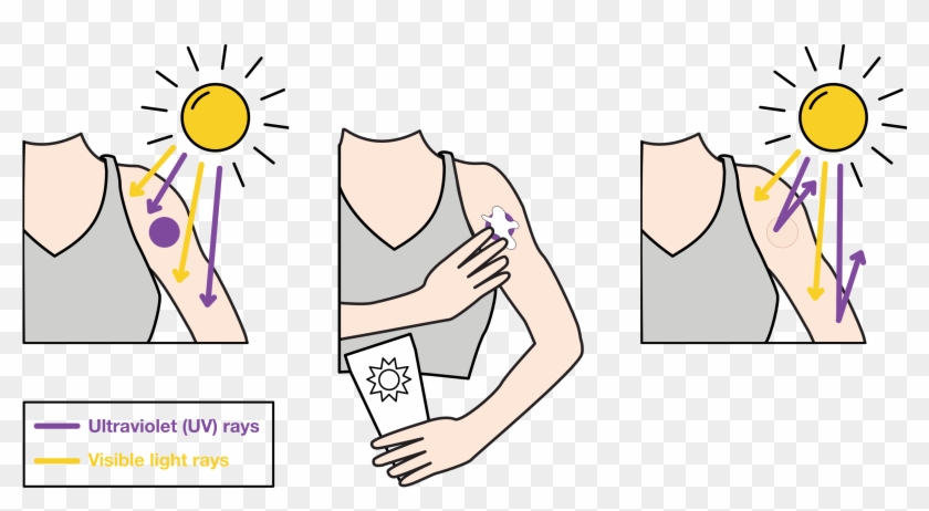 Since Sunscreen Blocks Uv Rays, But Lets Visible Light - Cartoon Clipart