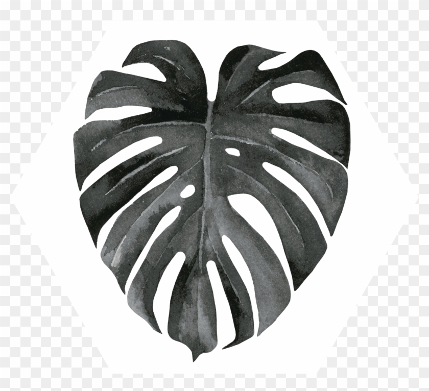 Invertebrate Clipart #3737122