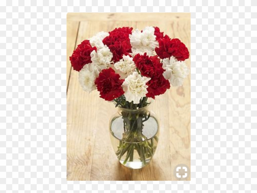Red & White Allure - Red And White Carnation Bouquet Clipart