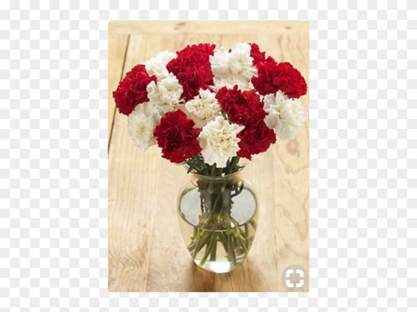 Red & White Allure - Red And White Carnation Bouquet Clipart #3738108