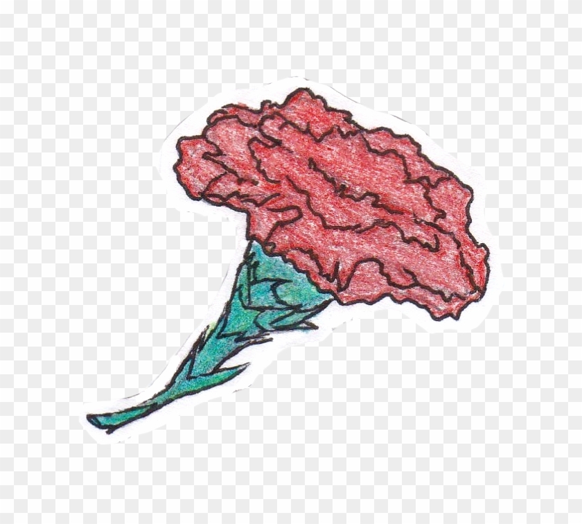 Red Carnation By Sweet - Sketch Clipart #3738847