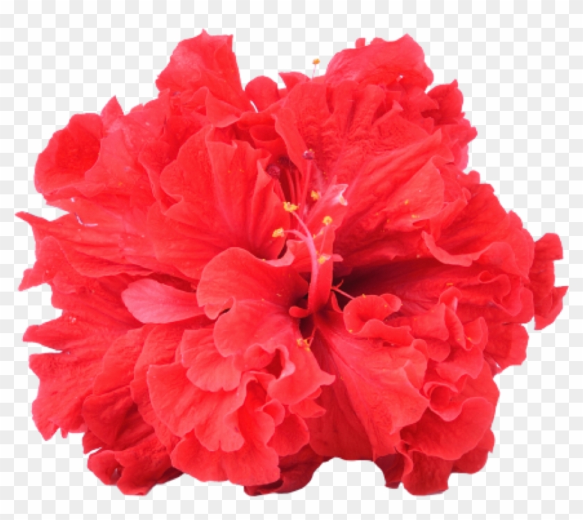 Sevgiliye 365 Gün Küçük Notlar Askere Clipart #3739110