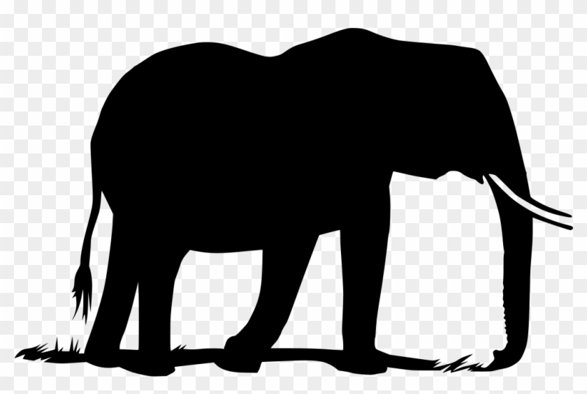 Download Png - Indian Elephant Clipart #3739886