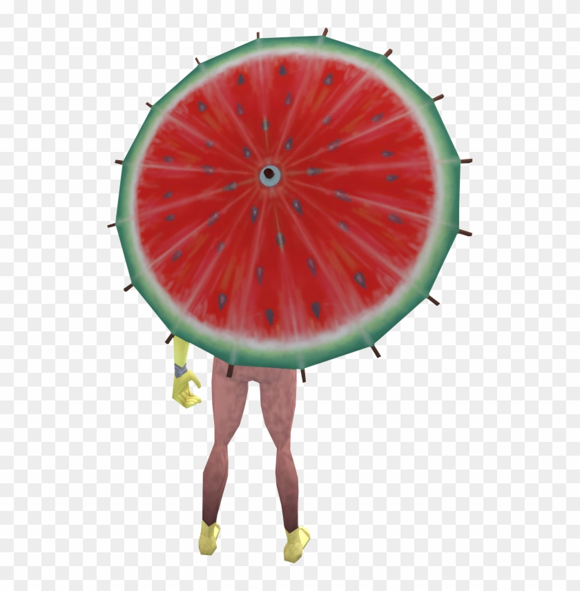 Hardy Kiwi Clipart