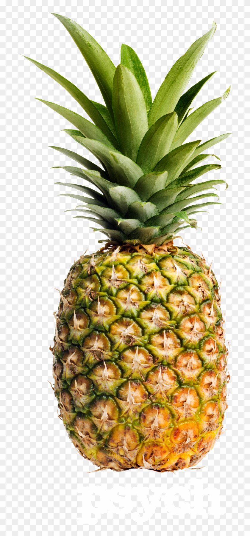 Go To Image - Pineapple Free Clipart