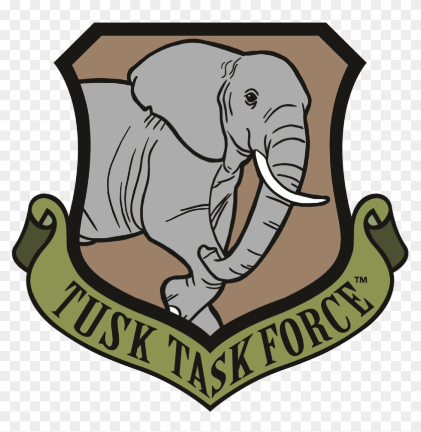 Elephant Trunk Png Clipart