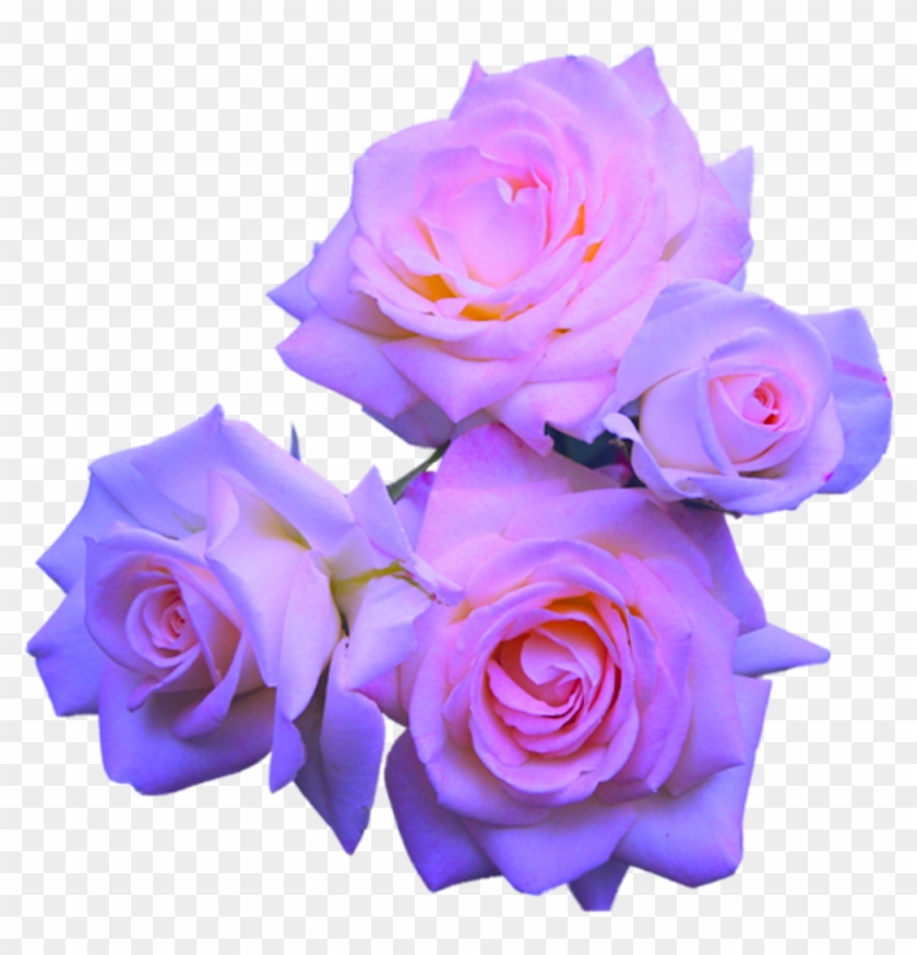 Kawaii Stickers Cute - Aesthetic Tumblr Flower Png Clipart
