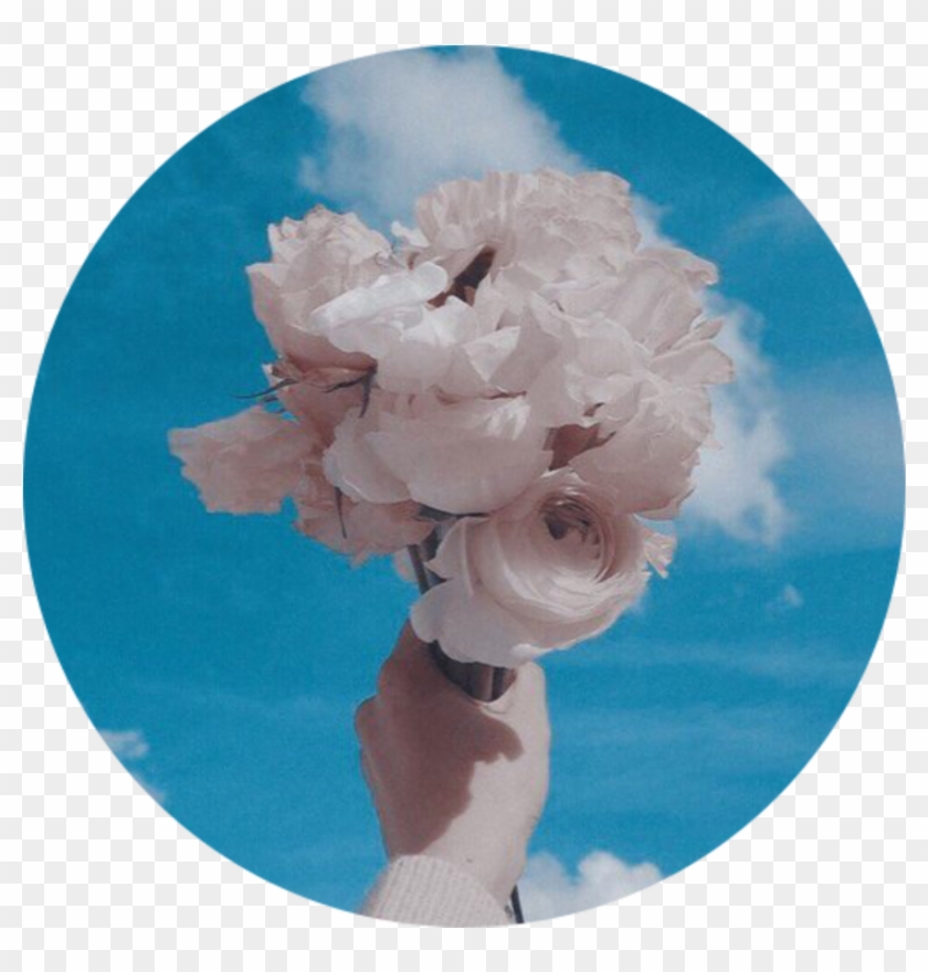 Whiterose Bluesky Aesthetic Background Tumblr Roundobje - Peony Clipart