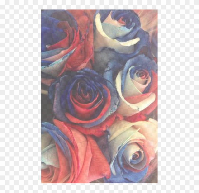 에밀리 On Twitter - Prayer For Julian Assange Clipart