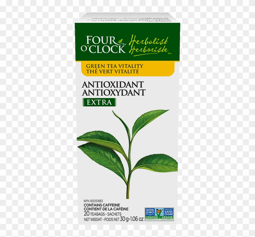 Antioxydant Extra - Herbal Tea Clipart