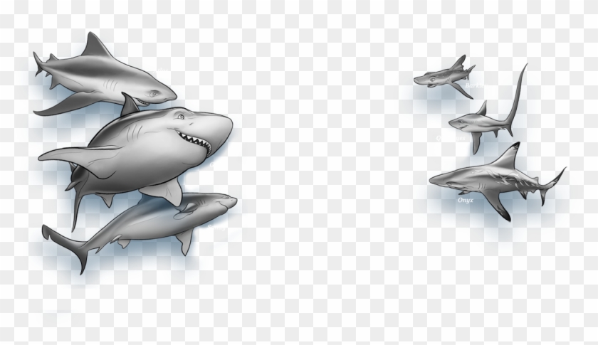 Coral Shiver - Characters From Shark Wars Clipart #3743849