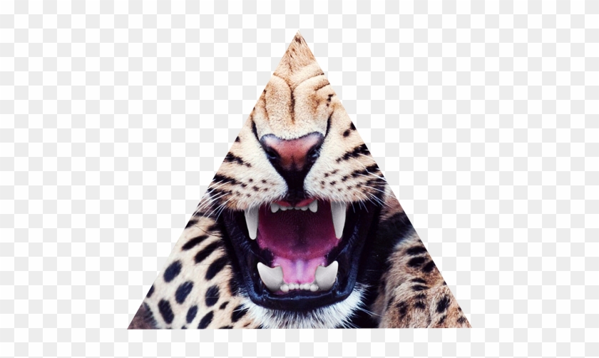 Is This Your First Heart - Run Bitch Clipart