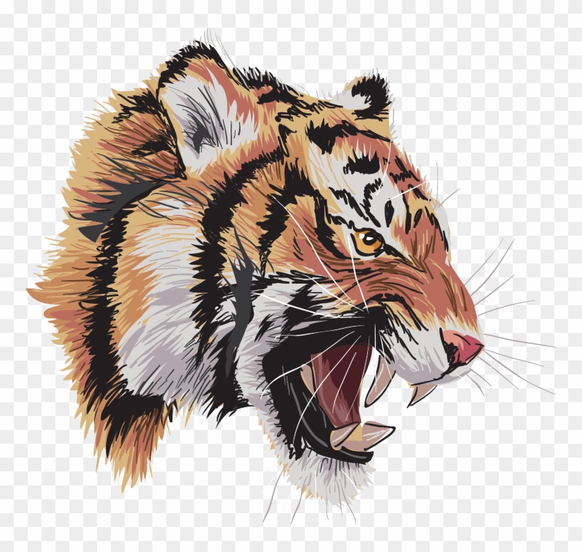 Tigre2iz Oscar Gamarra Bravo 2018 12 06t13 - Siberian Tiger Clipart