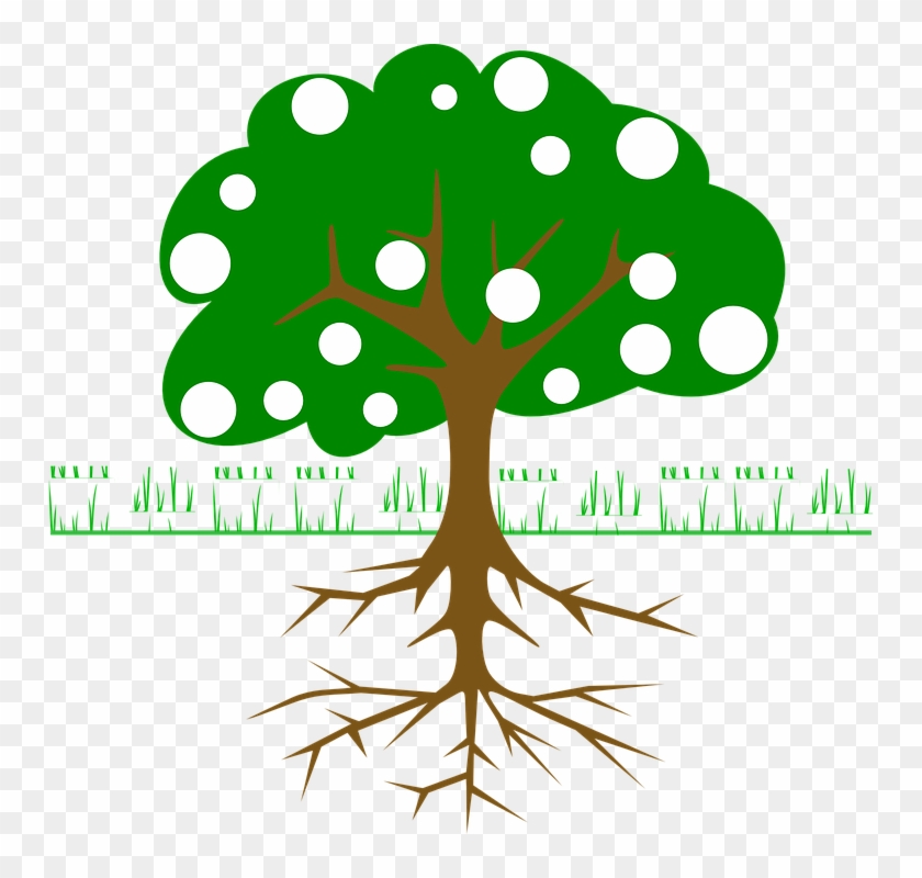 Tree Roots Fruits - Green Tree Vector Png Clipart