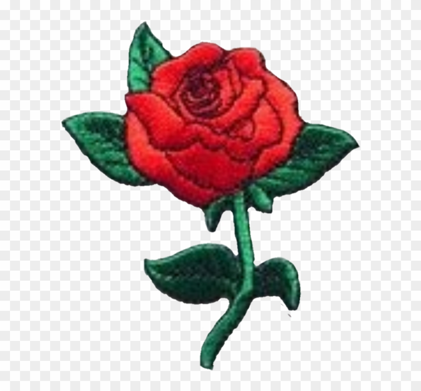 #patch Rose #patch #red Rose #art #clothes Art - Floribunda Clipart
