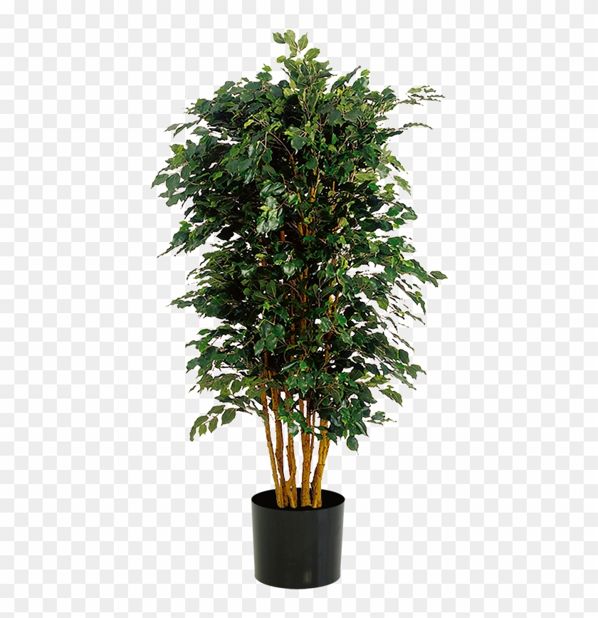 Download Fatigue And Tribological Properties Of Plastics - Kunst Pflanzen Clipart