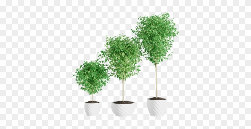 Previous - Next - Flowerpot Clipart