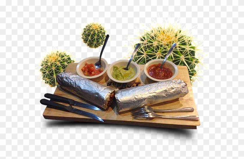 Usted Tiene La Oportunidad De Ser Propietario De Un - Chestnut Clipart