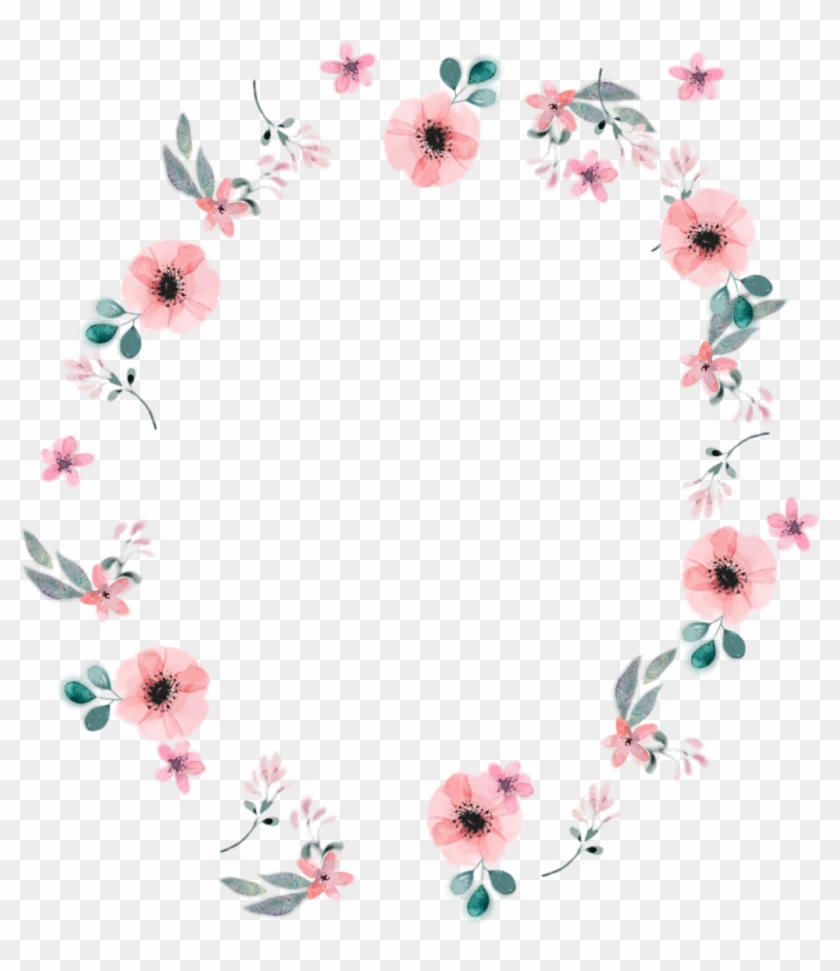 #flowers #everything #border #circle #pretty #cute - Gerbera Clipart #3747239
