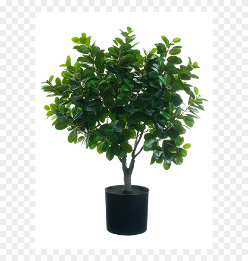 34" East Ficus Ball Topiary In Pot Green - Flowerpot Clipart #3747283