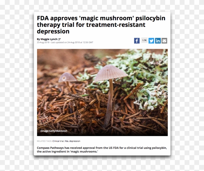 Psilocybin Fda - Agaric Clipart