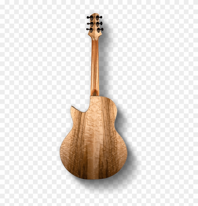 Photo Of Elite Series Photo Of Elite Series - Acoustic-electric Guitar Clipart
