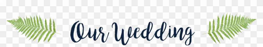 Our Wedding Nb - Calligraphy Clipart