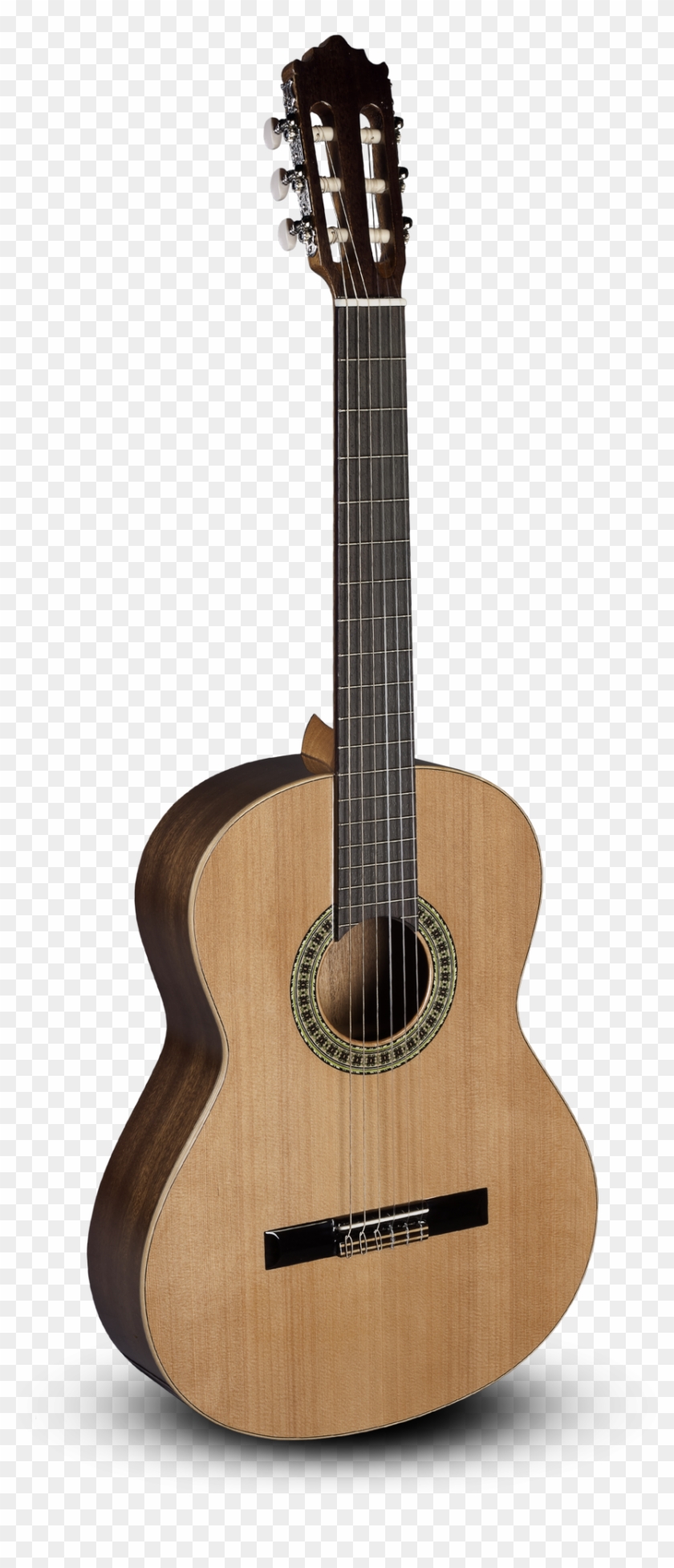 Classical Cutaway Alhambra Guitar Steel-string African - Guitarra Alhambra Z Nature Cw Ez Clipart #3748132