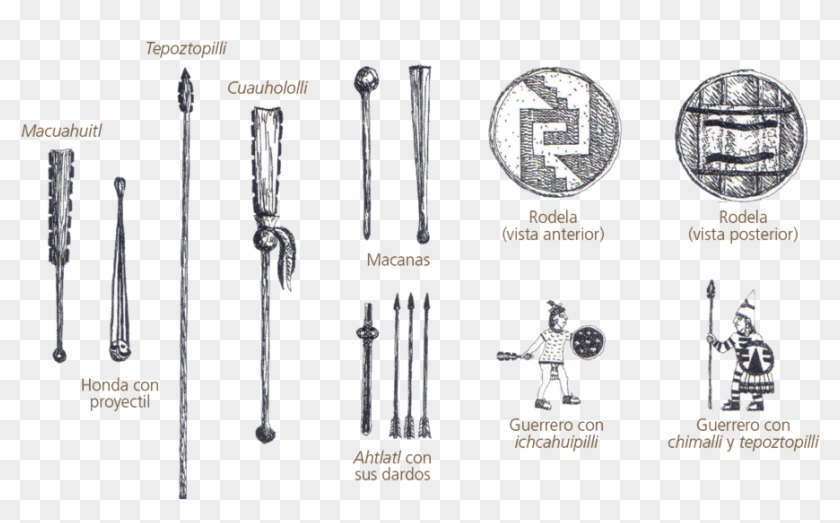 260 03 06 - Arma De Guerrero Aguila Clipart