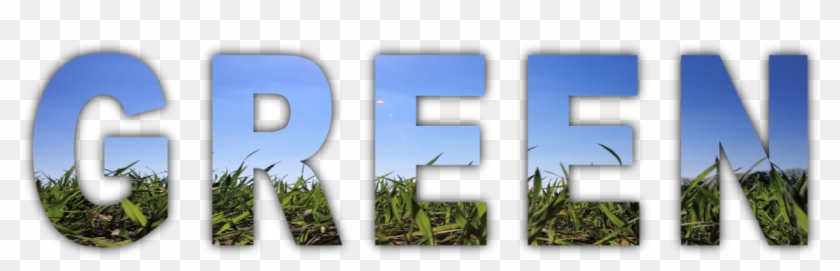 Green Energy Word Land Earth Png Image - Grass Clipart #3748633