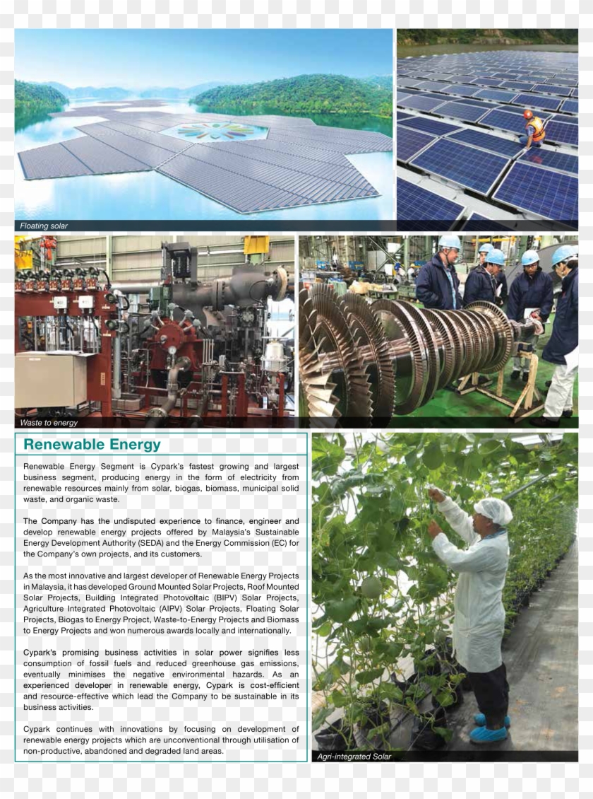 Cypark Biomass Clipart