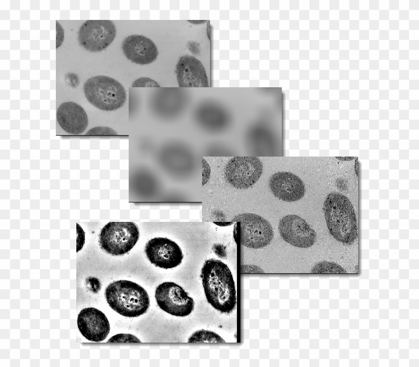 Four Images From Top To Bottom Showing The Original - Monochrome Clipart #3749125