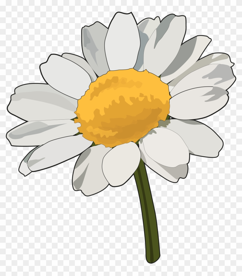 Margaritas Tumblr Png - Camomile Clipart #3749159