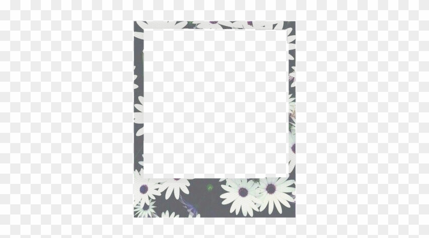 #borde #marco #tumblr #polaroid #flowers #flores #palommzz#freetoedit - Gerbera Clipart #3749400