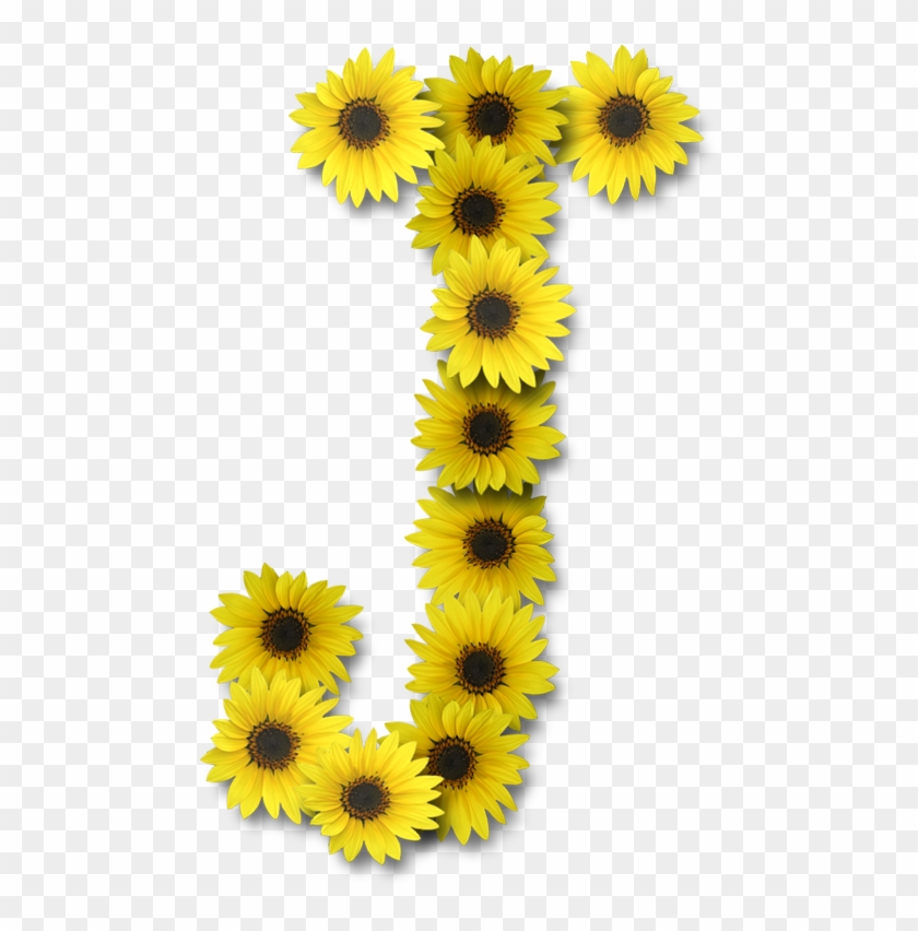 J Letter J Design, Flor Tumblr, Letters - Sunflower Letter J Clipart