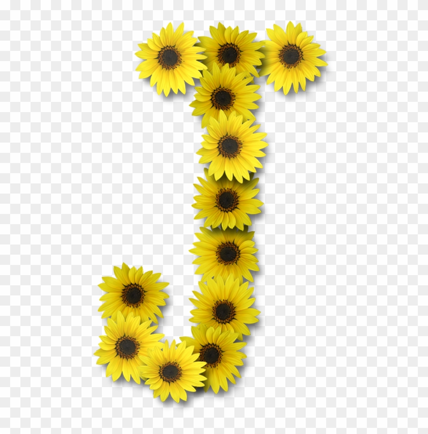 J Letter J Design, Flor Tumblr, Letters - Sunflower Letter J Clipart #3749621