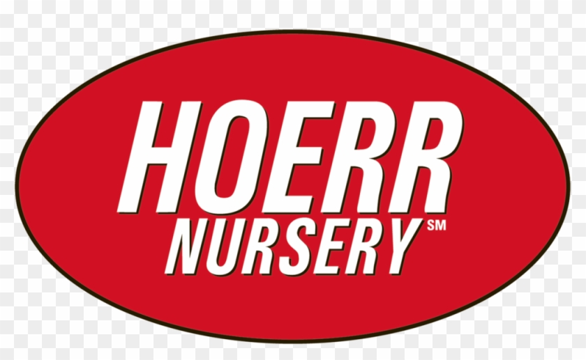 Landscaping Plants Png Clipart