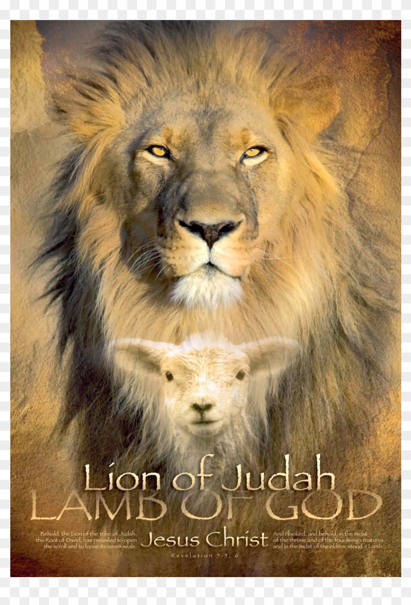 Lion Of Judah Wall Art - Lion Of Judah Lamb Of God Clipart