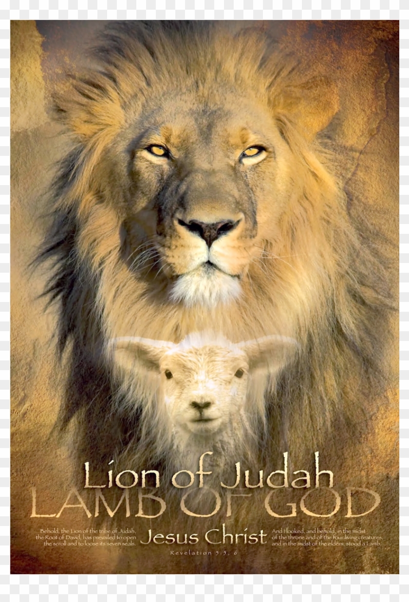 Lion Of Judah Wall Art - Lion Of Judah Lamb Of God Clipart #3749949