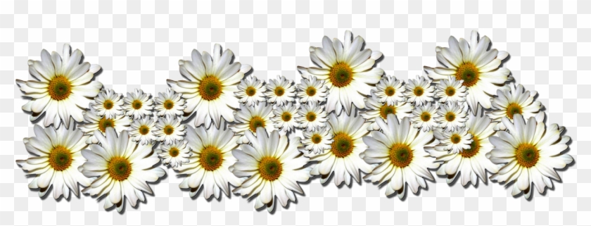 V - 8 - 7 849 - 0 Kbytes, Hd Top - Margaritas - Black-eyed Susan Clipart #3750020