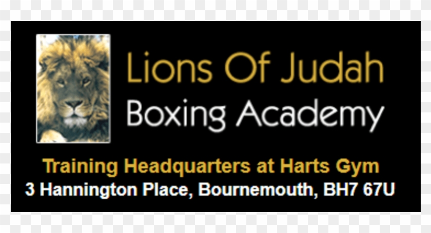 Lion Make Up Clipart