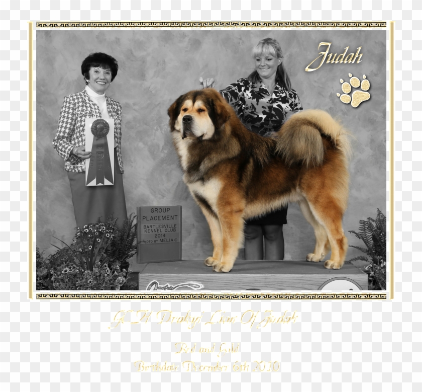 Ancient Dog Breeds Clipart #3751261