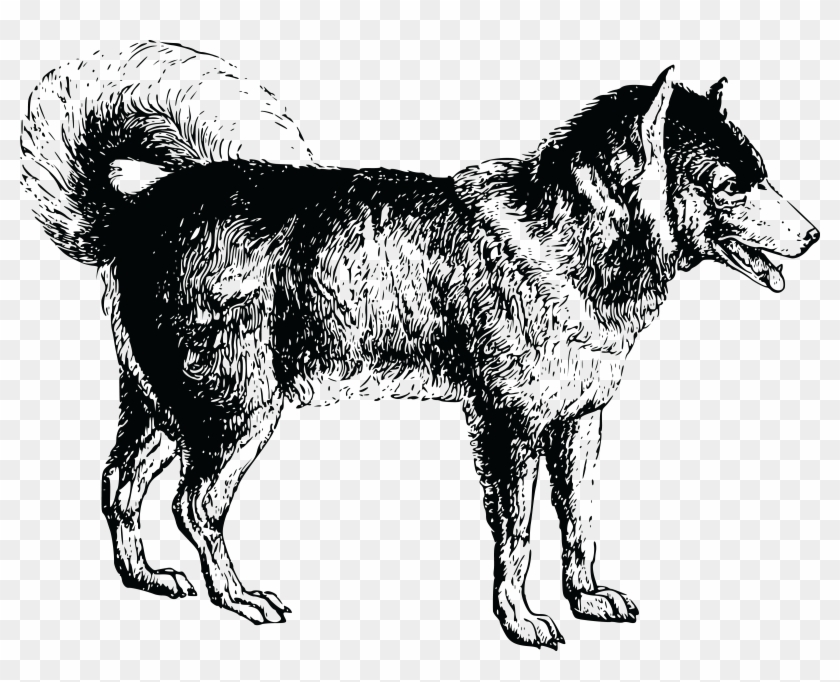 Dog Png Jpg - Siberian Husky Clipart