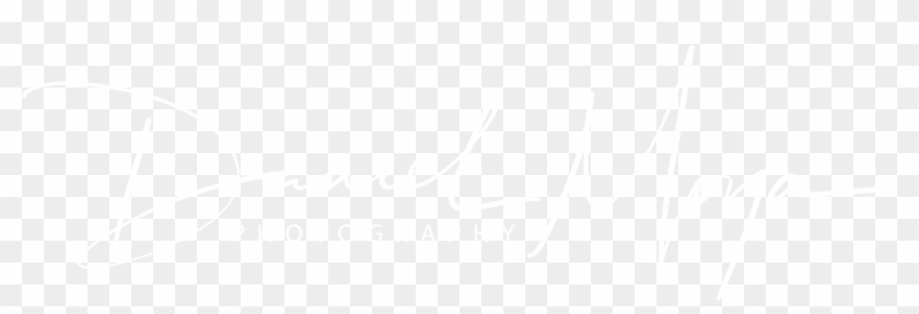 Daniel Moya - Ihs Markit Logo White Clipart
