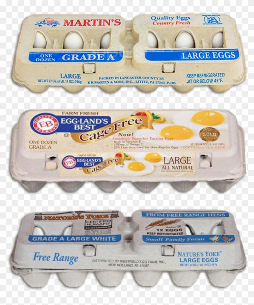 Display The Image Of Egg Cartons Representing Three - Eb Eggs Clipart #3753066