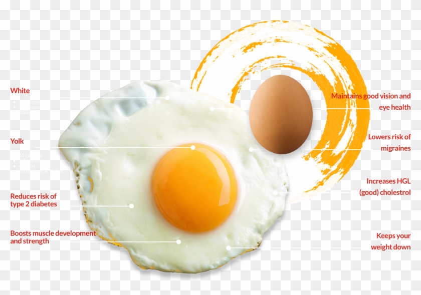 Contacts - Fried Egg Clipart #3753289