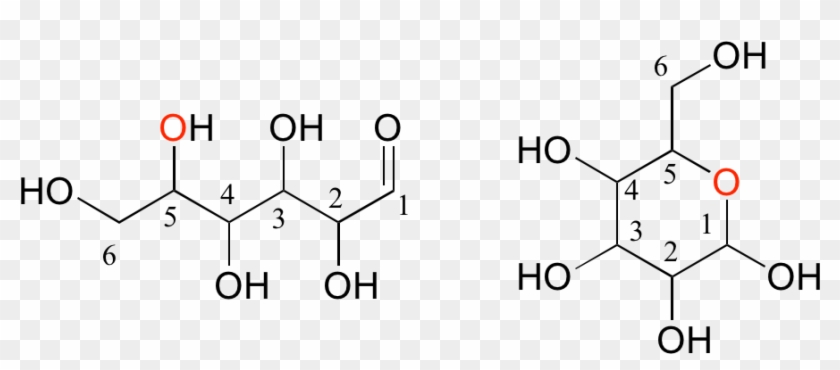 Disaccharides Are Two Monosaccharides Linked Together - Short Fatty Acid Chain Clipart #3754143